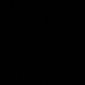 Meet your Posher, Lyla